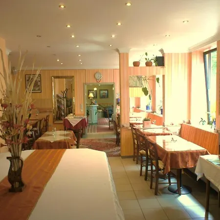 City Hotel Mannheim מלון
